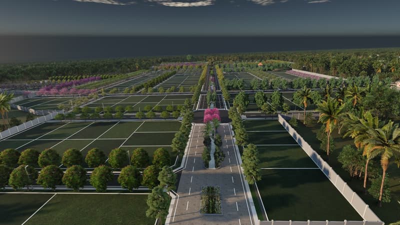 Master Layout